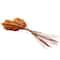 Dried Plant Pampas Natural Foliage with Long Stems